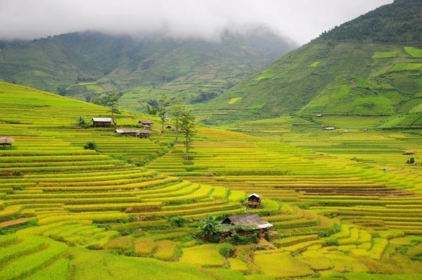 Dạo quanh mùa lúa chín tại Tây Bắc